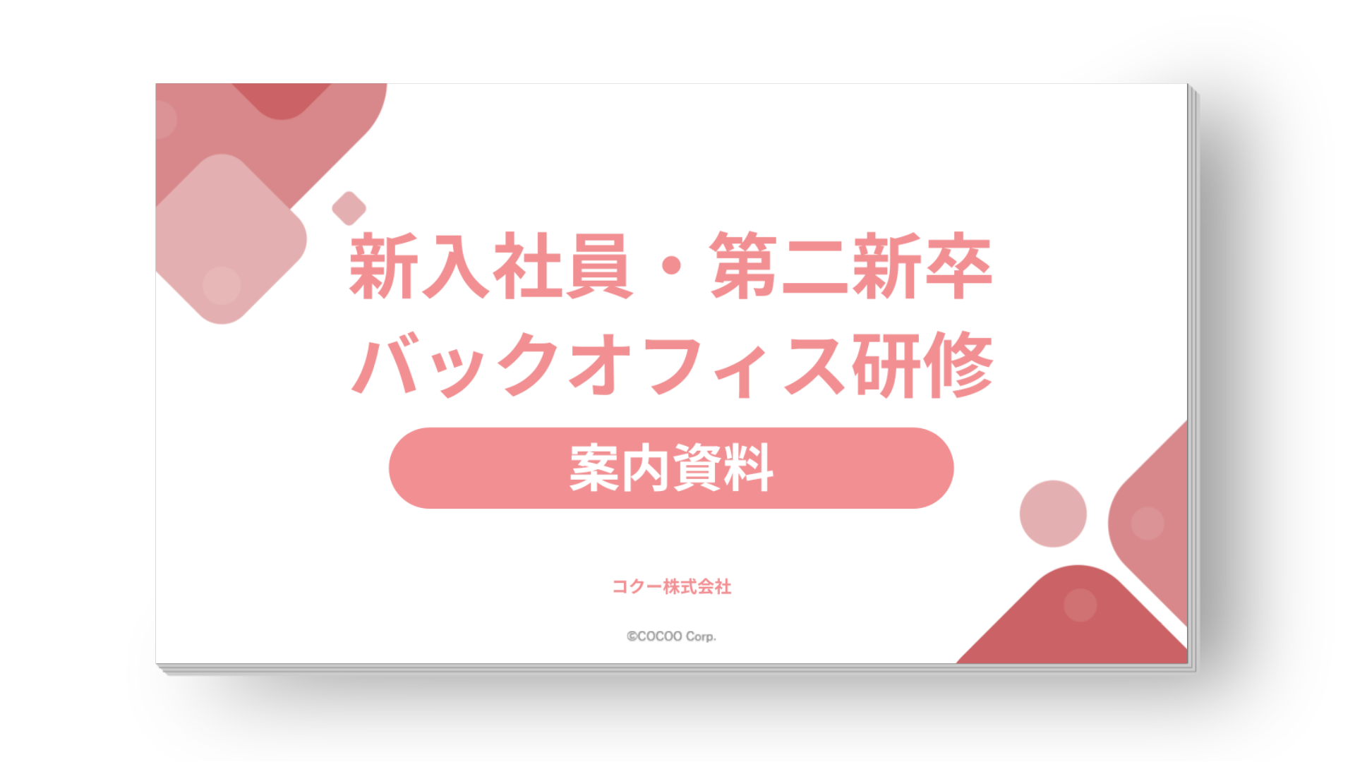 cocoo-education-excel-freshers