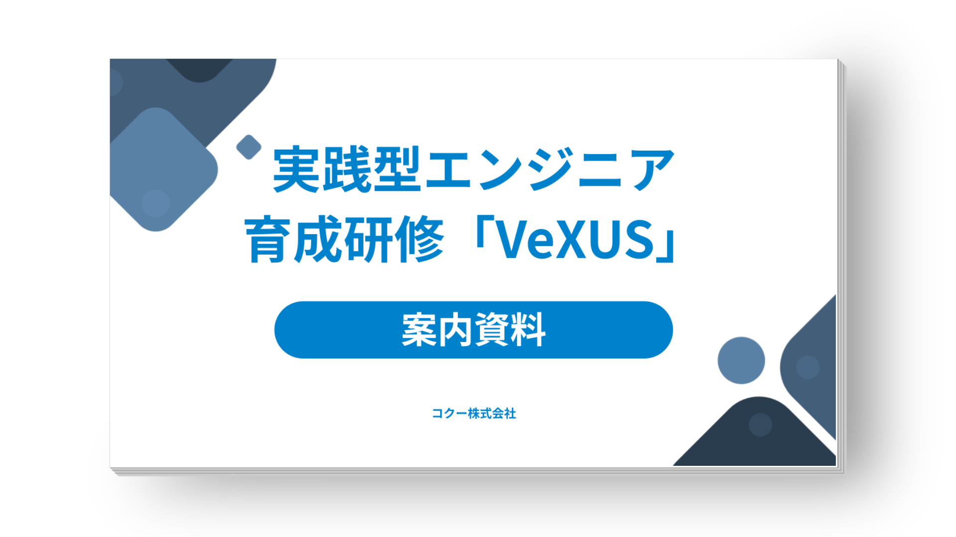cocoo-education-it-vexus